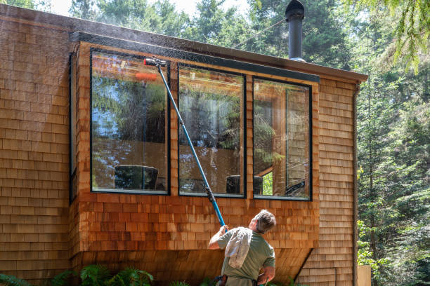 Window Cleaning